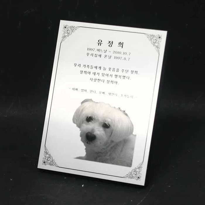 실제작 제품 1