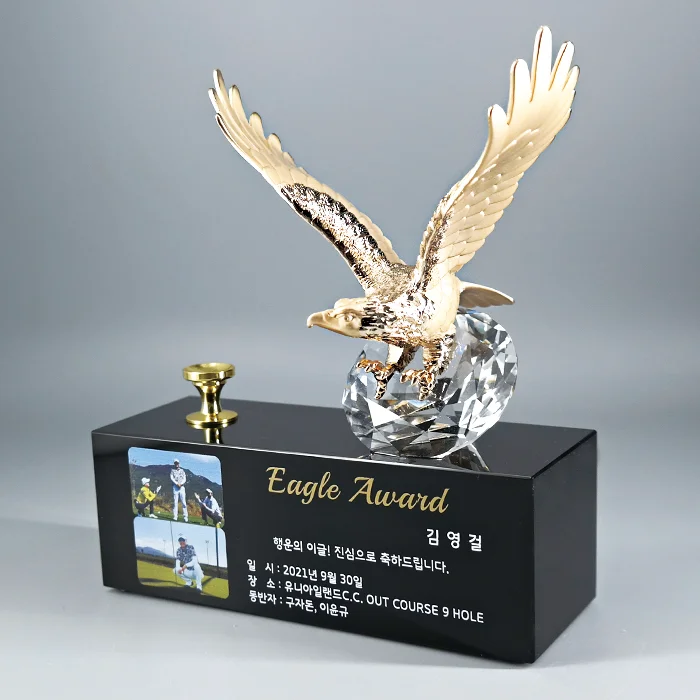 금속&블랙크리스탈트로피 DC20127